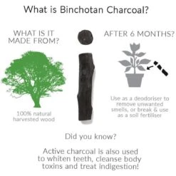 Black + Blum Binchotan Active Charcoal For Eau Good Water Bottles 4-pack -Beste Keukengerei Winkel 1200x1200 99