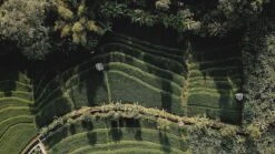 Sola Bestekset Bali - Modern - 9 Persoons - 90 Delig - Zilverwit Edelstaal 18/10 - RVS - Zilver 10 Sola Bestekset Bali - Modern - 9 Persoons - 90 Delig - Zilverwit Edelstaal 18/10 - RVS - Zilver -Beste Keukengerei Winkel 1200x675