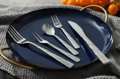 Swiss Pro+ Bestekset In Koffer-72 Delig-12 Persoons-Zwitsers Kwaliteit-Complete Set-100% Roestvrijstaal-Modern -Beste Keukengerei Winkel 1200x799 7