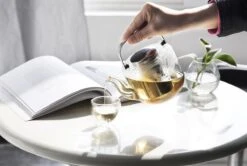 Viva Scandinavia Bjorn Theepot - Glas - Met Filter - 1,2 L - Transparant 19 Viva Scandinavia Bjorn Theepot - Glas - Met Filter - 1,2 L - Transparant -Beste Keukengerei Winkel 1200x807 4