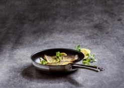 BK Allround Koekenpan Ø 24 Cm - Inductie - PFAS-vrij -Beste Keukengerei Winkel 1200x851 1