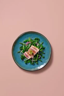 Palmer Serviesset Lotus Stoneware 6-persoons 24-delig Zwart Turquoise 25 Palmer Serviesset Lotus Stoneware 6-persoons 24-delig Zwart Turquoise -Beste Keukengerei Winkel 801x1200 5